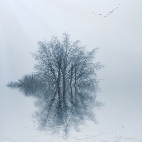 Fields Of Ice