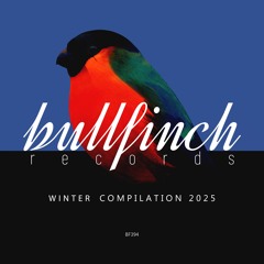 VA - Bullfinch Winter 2025 Compilation (Mixed By Artem Kai)