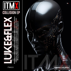 PREMIERE | LUKE&FLEX - Collision