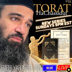 TORAT HaChassidut Series