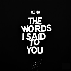 The Words I Said to You