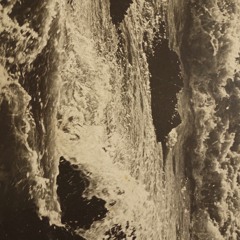 Coquille Saint Jaques