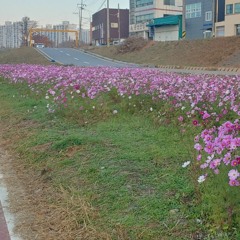 김완선 - 이젠 잊기로 해요 (1989)