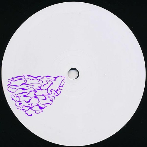 PREMIERE: Guava & Breaka - The Dolphins Are Back In Venice [Control Freak]