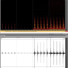 Saramonic Ambisonic SR-VRMIC Vs. LineAudio CM4 with PRIMO EM200
