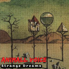 Animall Voice - Strange Dreams