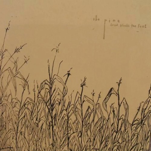 The Pine - Loner