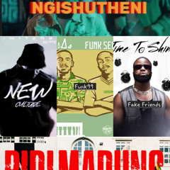 NGISHUTHENI MIX