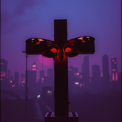 Death Moth Executioner 7