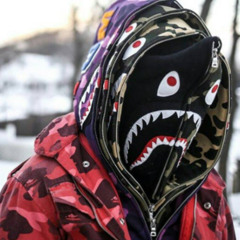 Ape
