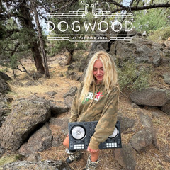 Dogwood 𝄃𝄃𝄂𝄂𝄀𝄁𝄃𝄂𝄂𝄃 9/5/25 𝄃𝄃𝄂𝄂𝄀𝄁𝄃𝄂𝄂𝄃 Full Mix | Part 1