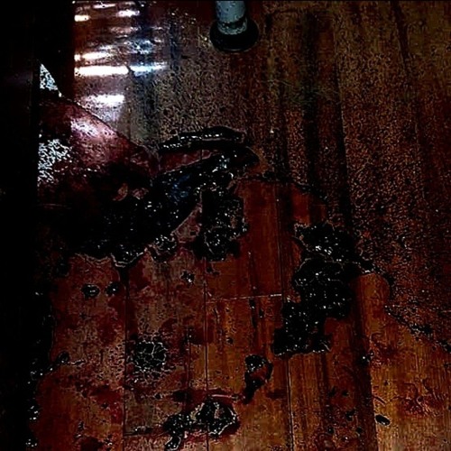 committing suicide look more appealing now