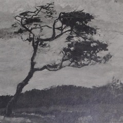 A Wind-Beaten Tree