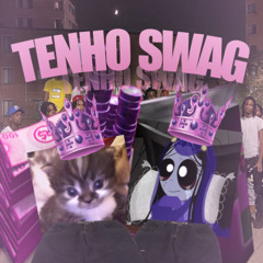 TENHO SWAG
