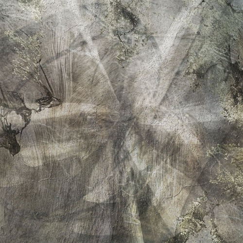 CRUDE Premiere: Dj Smithee - Koi