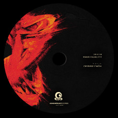KSRTM005 B1 / Démoce - Raw Duality