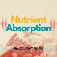 NutrientAbsorption_dwell180-square-384kHz.flac