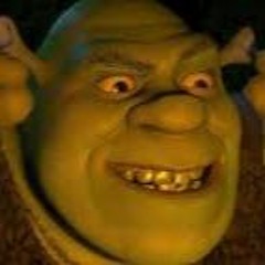 Shreck  - Follow The Flow