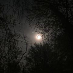 Is There Anyone Alive Out There?