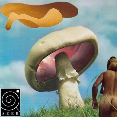 Starborough's Multiverse Variations II for SEER