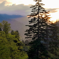 Can't Get Here from There