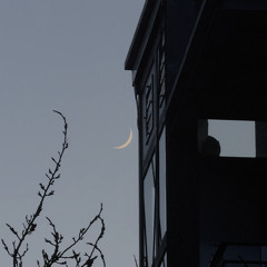 PAVEL MILYAKOV 090226