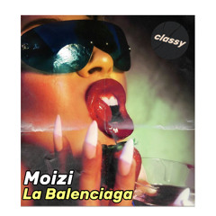 Moizi - La Balenciaga