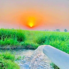 یک ریمکس شاد افشاری از سروش محب Sorosh Moheb - Afshari Remix.mp3