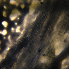 Everything could be anything and it would have just as much meaning