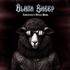 01 Black sheep