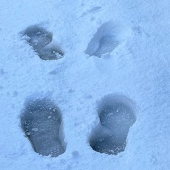 chill jees-歩こう