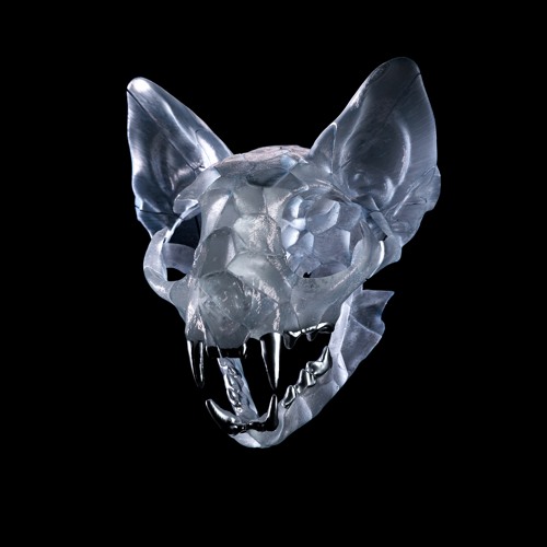 Darci - Thin Glass (with RMR)
