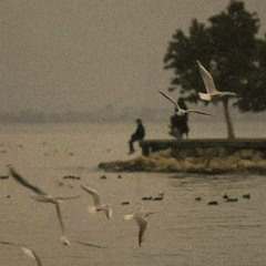 خانه بر دوش