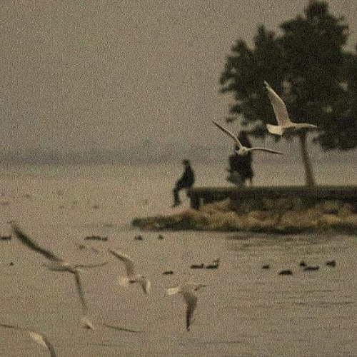 RoadTrip 🚜🛻🚐🏎️🚓🚙🚗🚌🚚🛵🛺