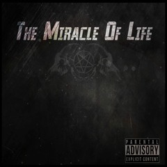 The Miracle Of Life (RADIO EDIT)