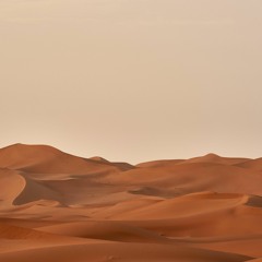 It's A Long Way In The Desert