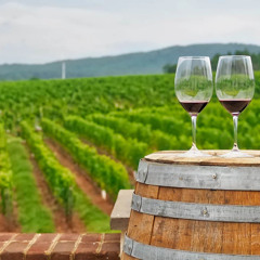 WineTasting