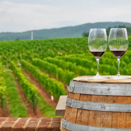 WineTasting