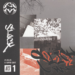 PRECIOUS METALS RADIO (NTS) FT. ENDGAME & SLICK (21.05.25)