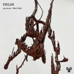 Wired Radio - Fields 24.10.22 - New York