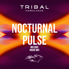 Nocturnal Pulse [Melodic House Mix]