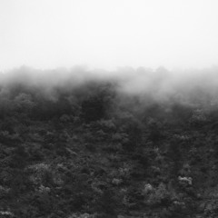 Faire Mauvais Genre - Pan Love IS the FUTUR.E