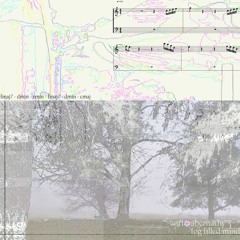 fog filled mind