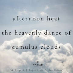 Shade’s Cool Embrace(NaviarHaiku499)