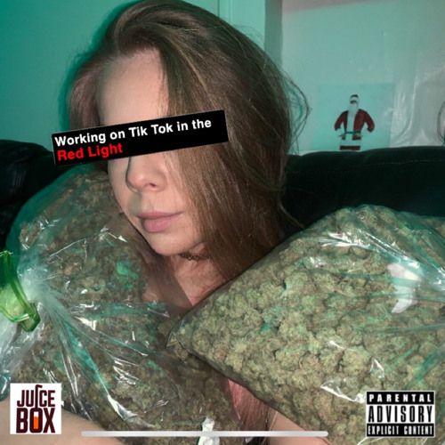 Working On Tik Tok In The Red Light (Kesha X A$AP Ferg X holy Goof)(JUICEBOX BOOTLEG)