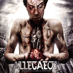 Allegaeon