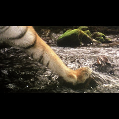 don’t believe it now; didn’t believe it then