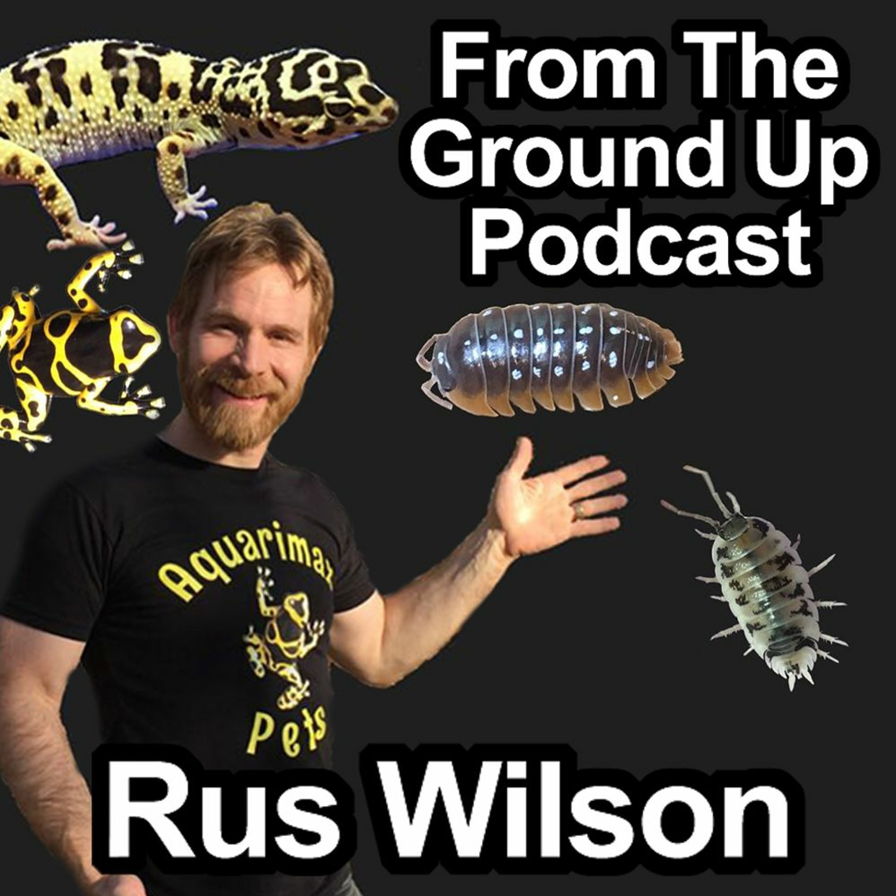 Modern Medusa Reptile Podcast - Where we talk everything cold-blooded (Snake Podcast)