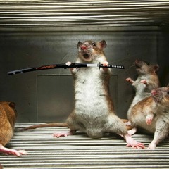 bury the light with rain sounds