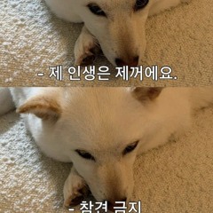 세상 끝에서 만든 Mix Vol.1